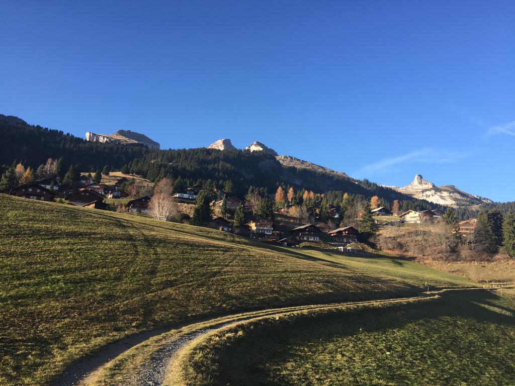 La Petite Silene Lejlighed Leysin Værelse billede