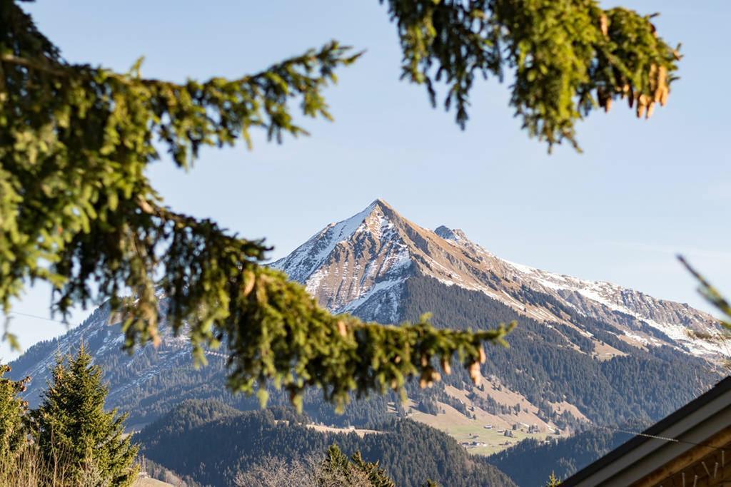 La Petite Silene Lejlighed Leysin Eksteriør billede